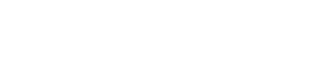 Brandi Jones - Logo - white